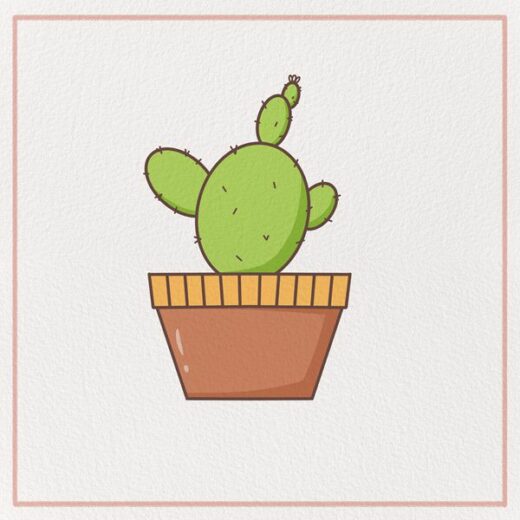 How to Draw a Cactus Feature