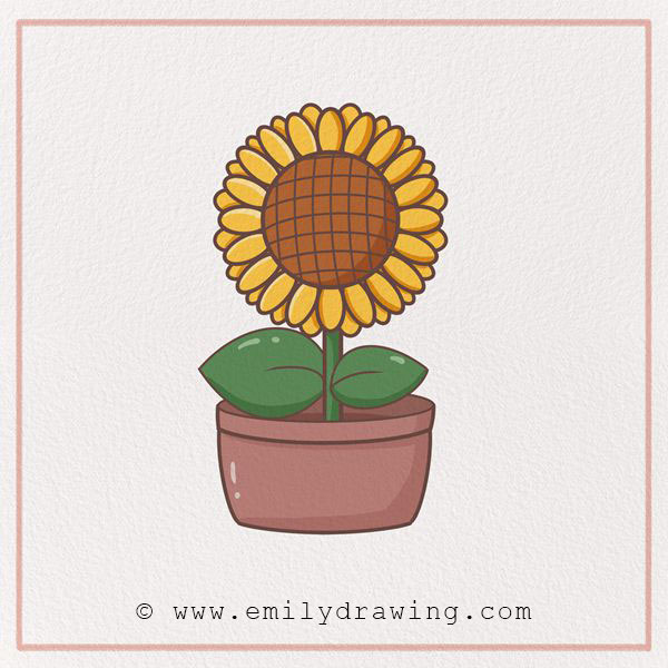 Preview of Sunflower drawing