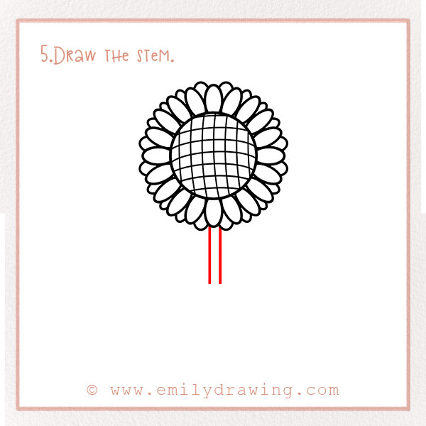 How to Draw a Sunflower - Step 5 – Draw the stem.