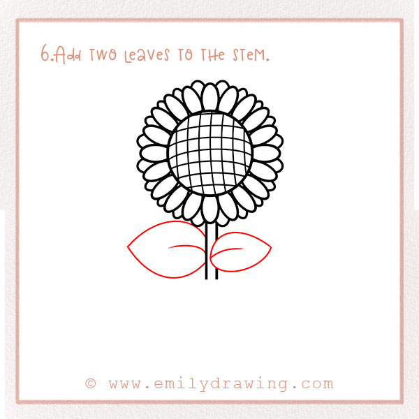 How to Draw a Sunflower - Step 6 – Add two leaves to the stem.