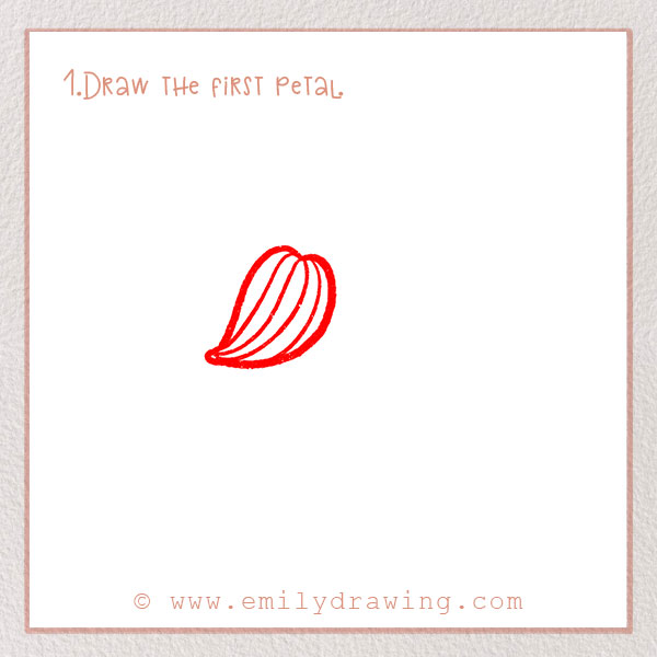 How to Draw a Lily - Step 1 – Draw the first petal.