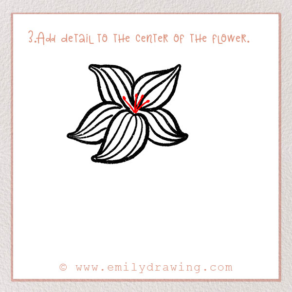 How to Draw a Lily - Step 3 – Add detail to the center of the flower.