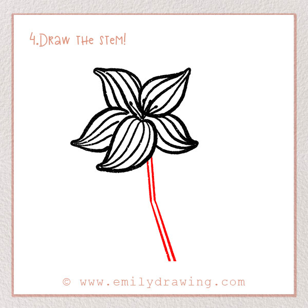 How to Draw a Lily - Step 4 – Draw the stem!