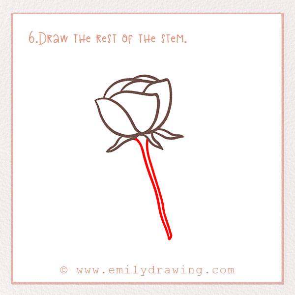 How to Draw a Rose - Step 6 – Draw the rest of the stem.