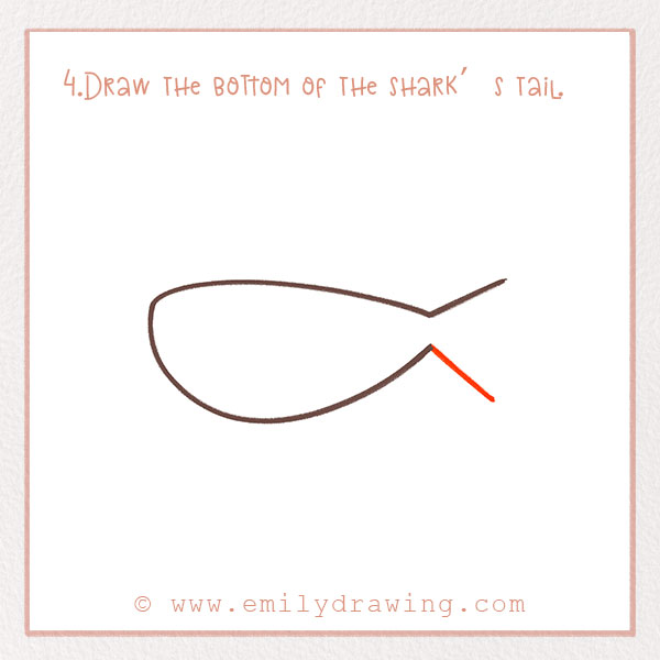 How to Draw a Shark - Step 4 – Draw the bottom of the shark’s tail.