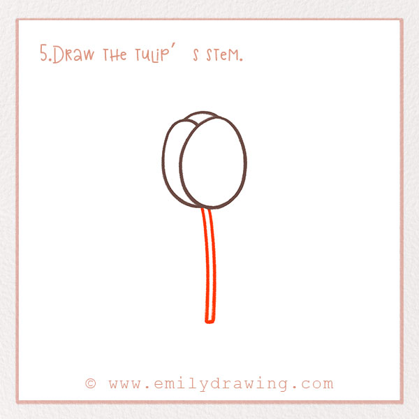 How to Draw a Tulip - Step 5 – Draw the tulip’s stem.