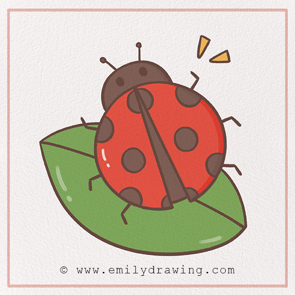 Preview of ladybug drawing