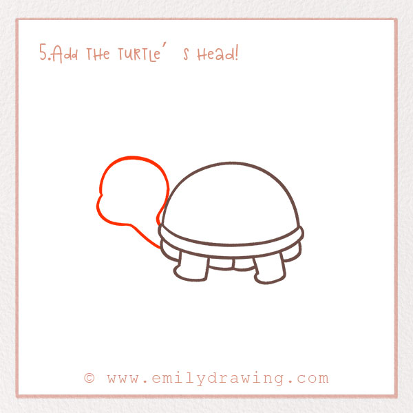 How to Draw a Turtle - Step 5 – Add the turtle’s head!