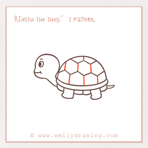 How to Draw a Turtle - Step 9 – Finish the shell’s pattern.