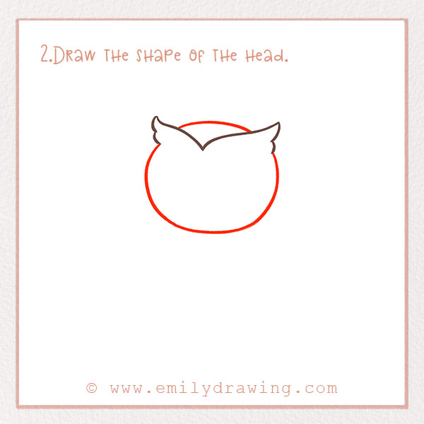 How to Draw an Owl - Step 2 – Draw the shape of the head.