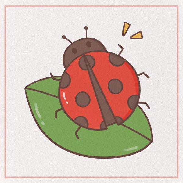 How to Draw a Ladybug Feature