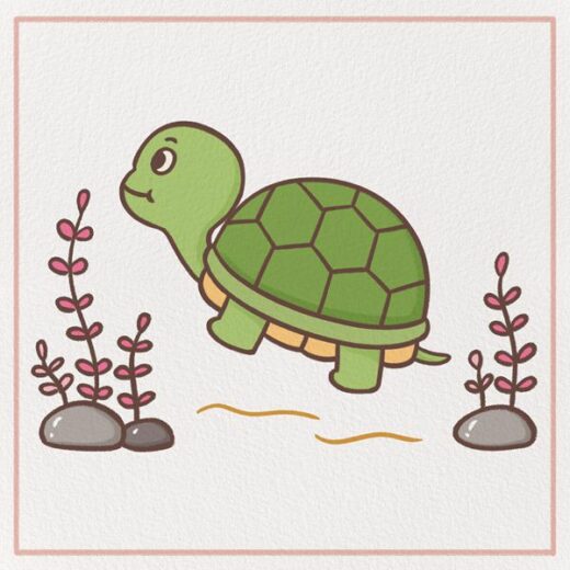 How to Draw a turtle Feature