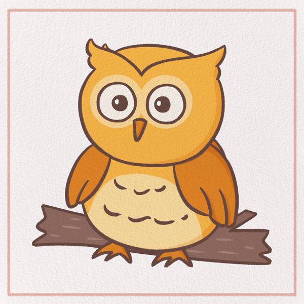 How to Draw an owl Feature