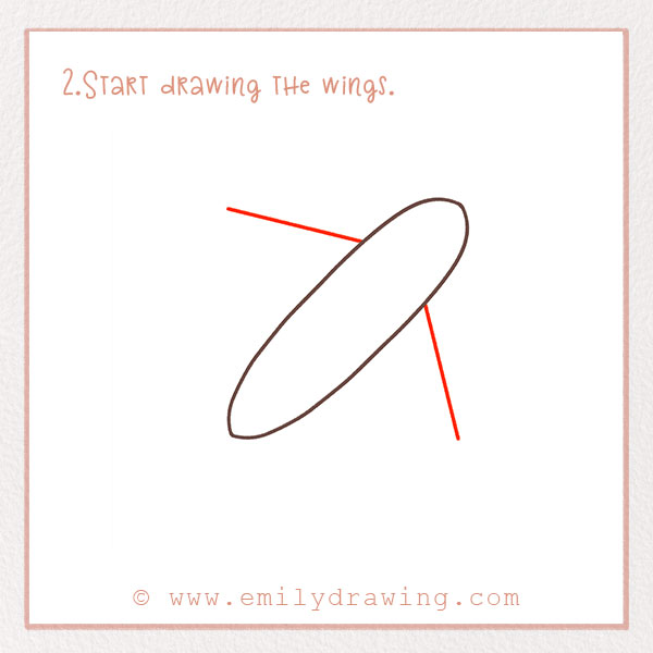 How to Draw a Plane - Step 2  – Start drawing the wings. 