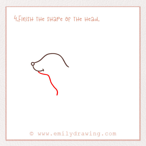 How to Draw a dachshund - Step 4 – Finish the shape of the head.