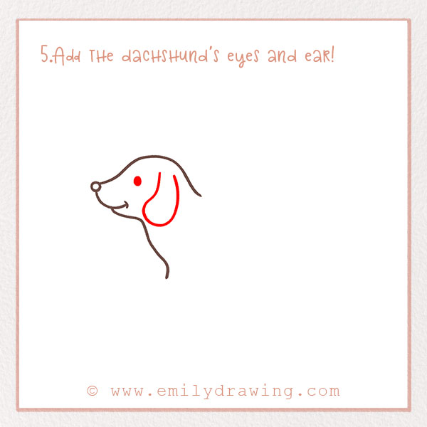 How to Draw a dachshund - Step 5 – Add the dachshund's eyes and ear!