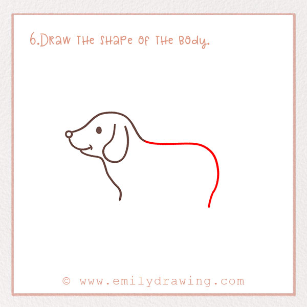 How to Draw a dachshund - Step 6 – Draw the shape of the body.