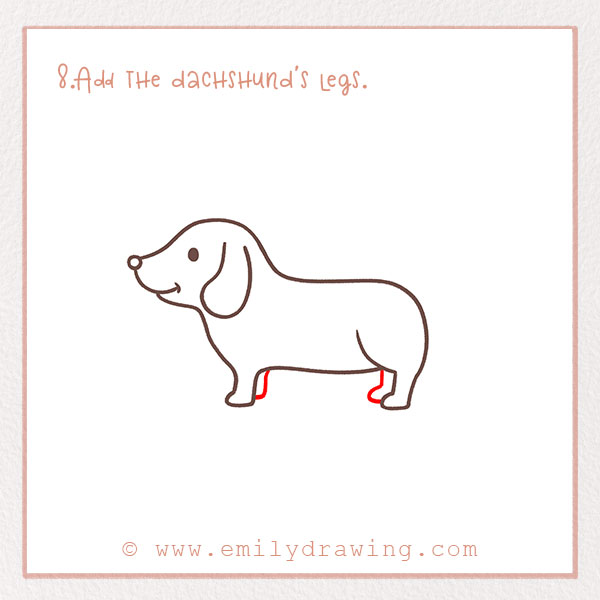 How to Draw a dachshund - Step 8 – Add the dachshund's legs.