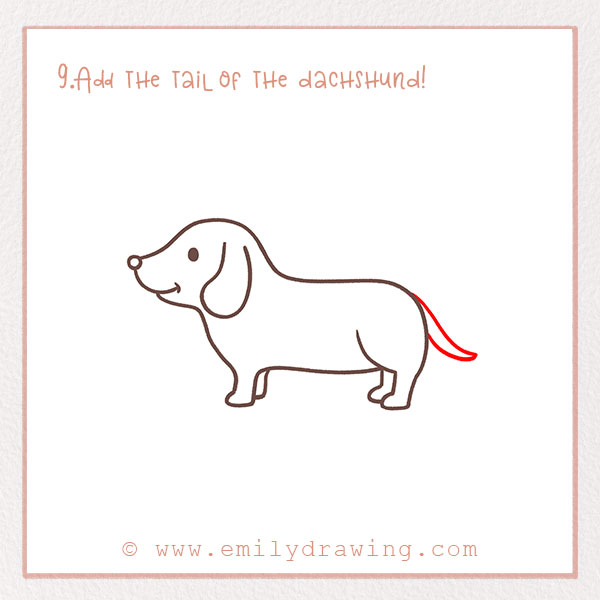 How to Draw a dachshund - Step 9 – Add the tail of the dachshund!