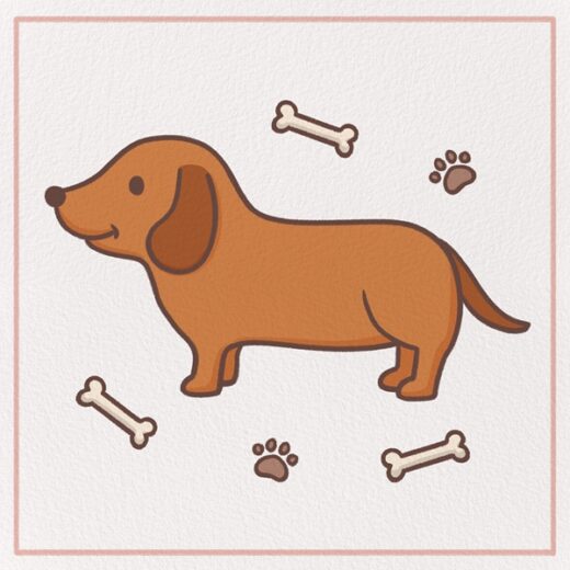 How to Draw a Dachshund Feature