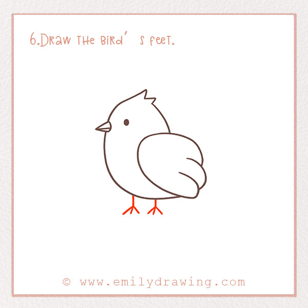 How to Draw a Bird - Step 6 – Draw the bird’s feet.