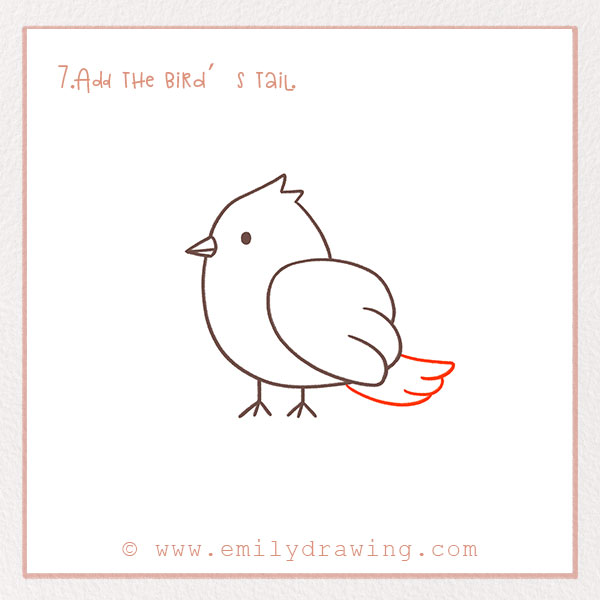 How to Draw a Bird - Step 7 – Add the bird’s tail.