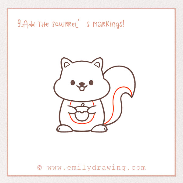 How to Draw a Squirrel - Step 9 – Add the squirrel’s markings!