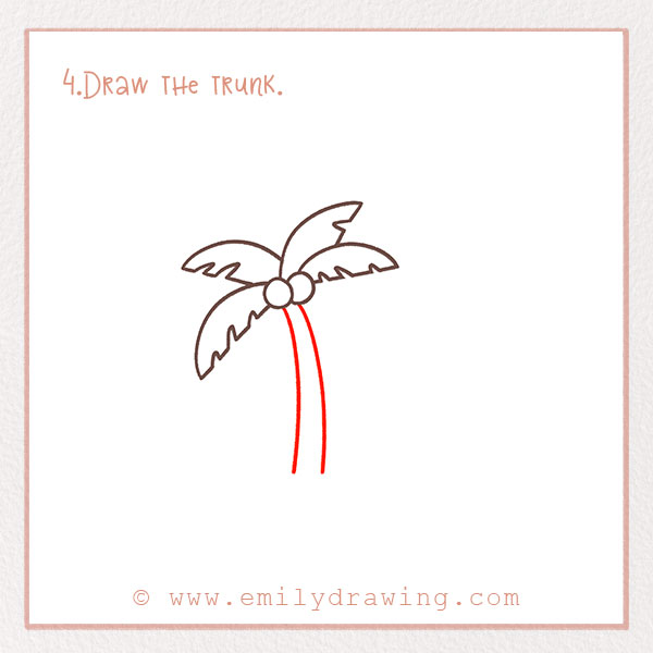 How to Draw a Palm Tree - Step 4 – Draw the trunk.