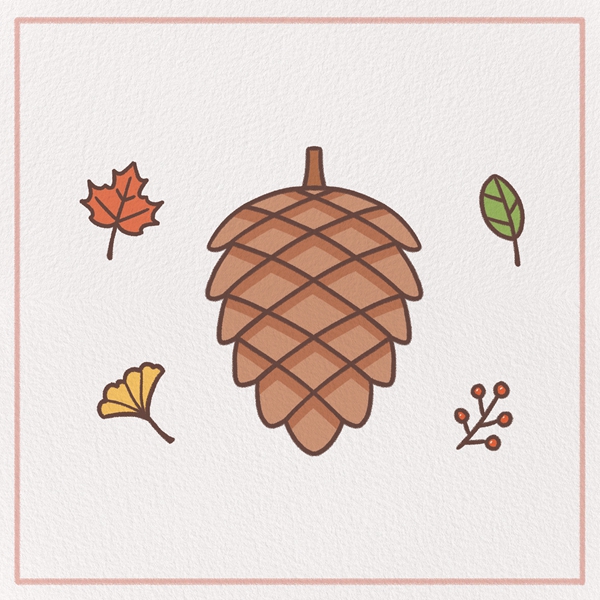 How to Draw a Pine cone Feature