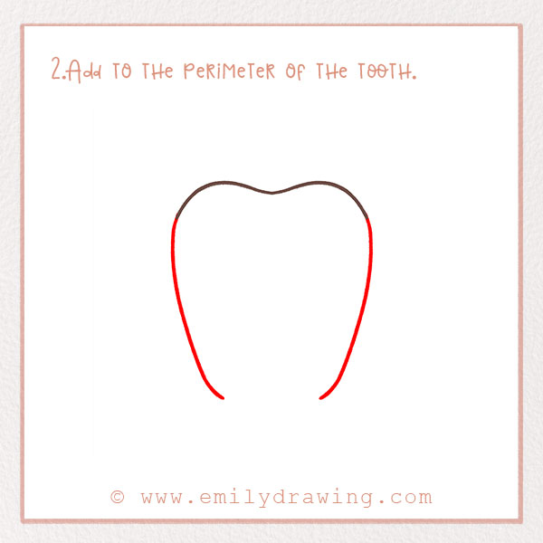 How to Draw a Tooth - Step 2 – Add to the perimeter of the tooth.