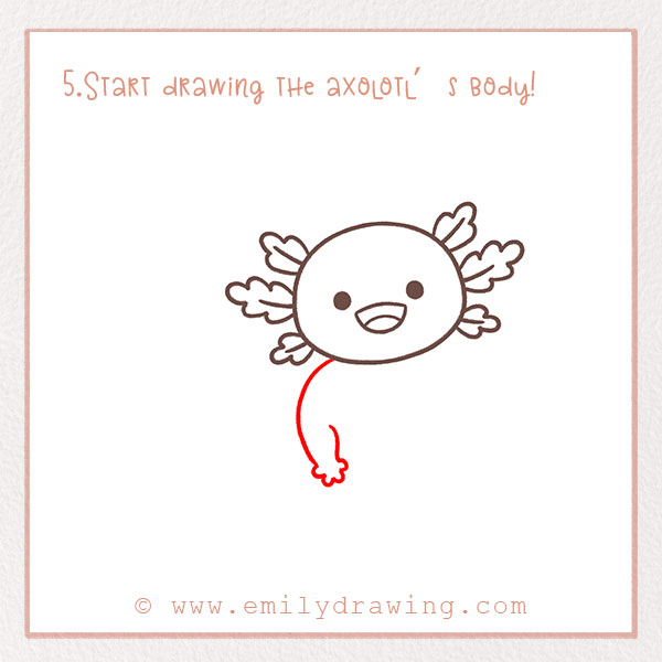 How to Draw an Axolotl - Step 5 – Start drawing the axolotl’s body!