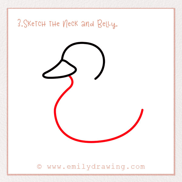 How to Draw a Duck - Step 3: Sketch the Neck and Belly