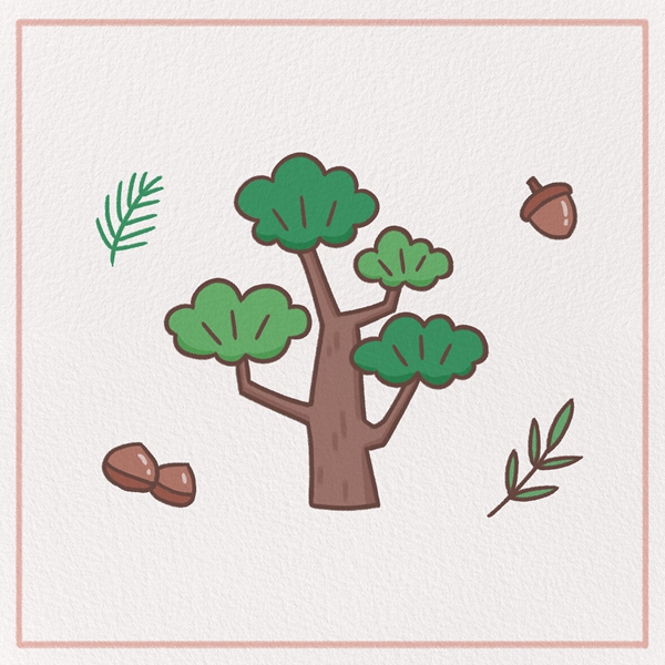 How to Draw a Pine Tree Feature