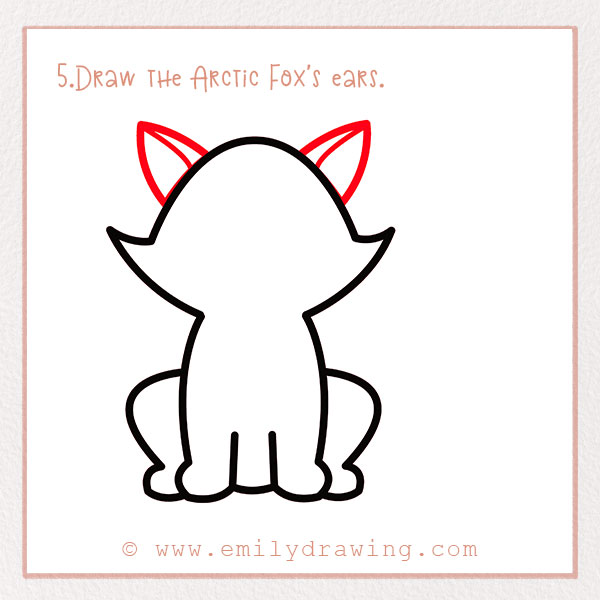 How to Draw an arctic fox - Step 5 – Draw the Arctic Fox's ears.