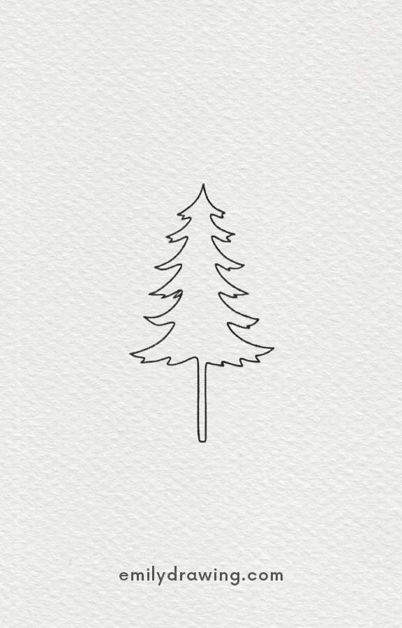 Minimalist pine tree outline sketch with natural branches.