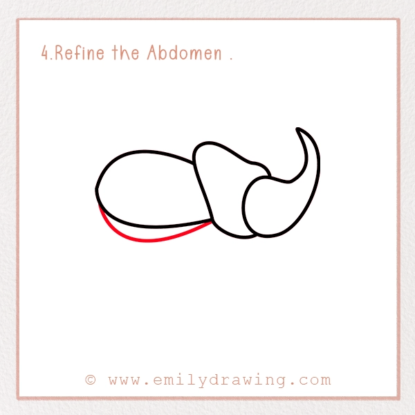 How to Draw a Beetle - Step 4 - Refine the Abdomen