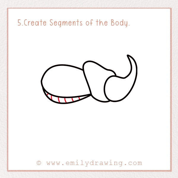 How to Draw a Beetle - Step 5 - Create Segments of the Body