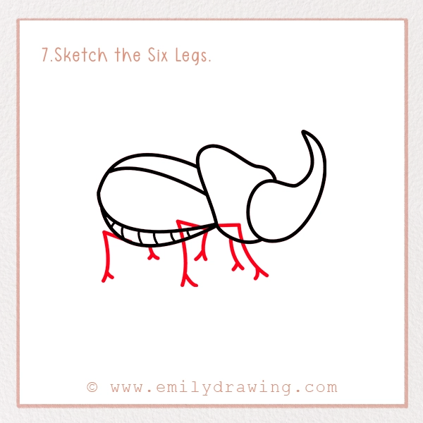 How to Draw a Beetle - Step 7 - Sketch the Six Legs