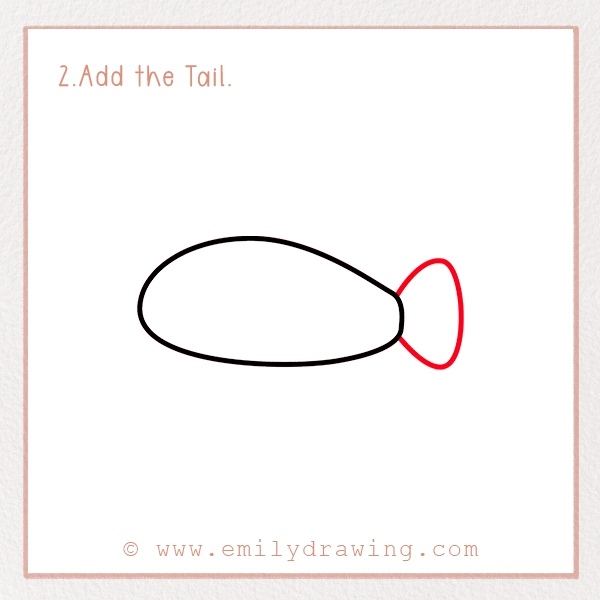 How to Draw a Clownfish - Step 2 - Add the Tail