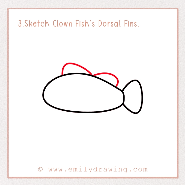 How to Draw a Clownfish - Step 3 - Sketch Clown Fish's Dorsal Fins