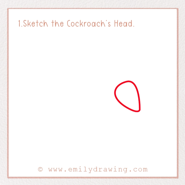 How to Draw a Cockroach - Step 1 - Sketch the Cockroach’s Head