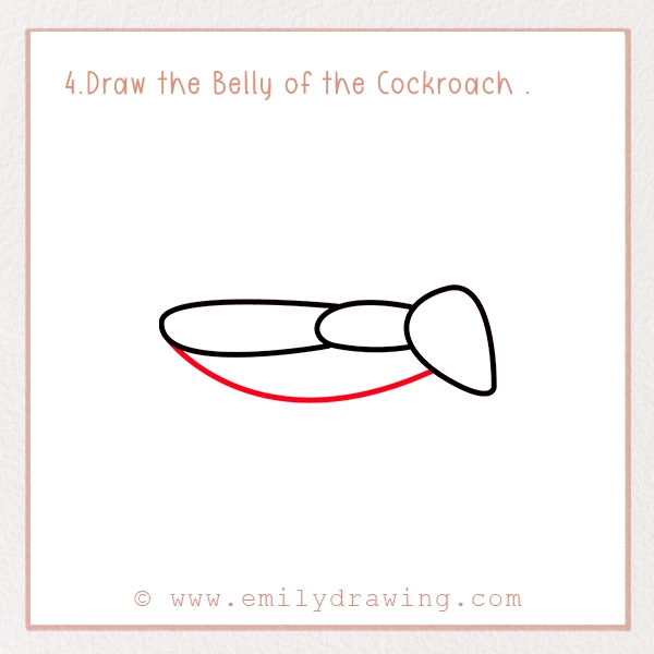 How to Draw a Cockroach - Step 4 - Draw the Belly of the Cockroach