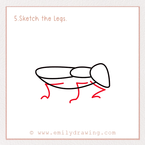 How to Draw a Cockroach - Step 5 - Sketch the Legs