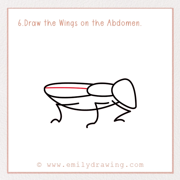 How to Draw a Cockroach - Step 6 - Draw the Wings on the Abdomen