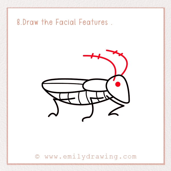 How to Draw a Cockroach - Step 8 - Draw the Facial Features