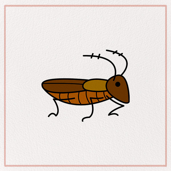 How to Draw a Cockroach Feature