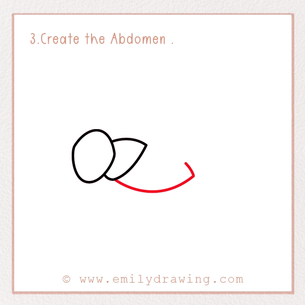 How to Draw a Cricket - Step 3 - Create the Abdomen