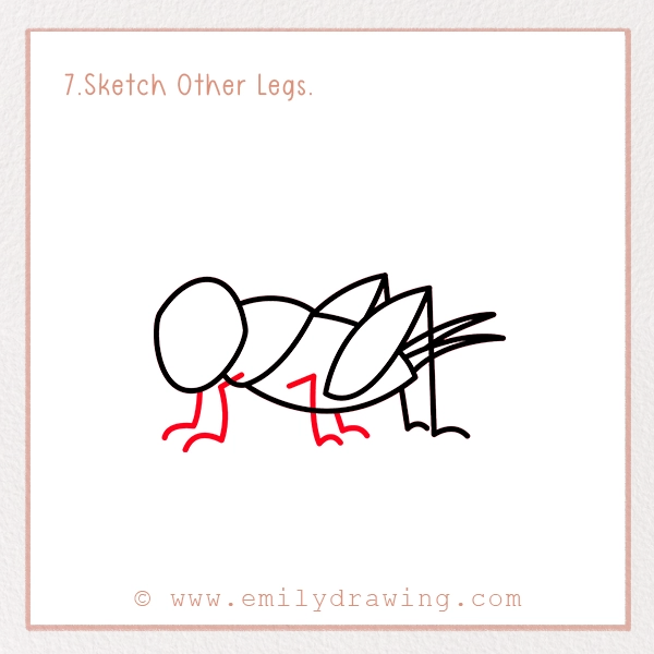 How to Draw a Cricket - Step 7 - Sketch Other Legs