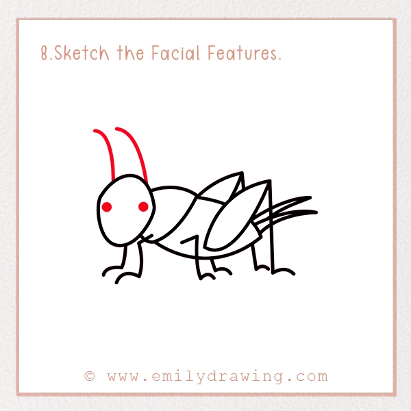 How to Draw a Cricket - Step 8 - Sketch the Facial Features