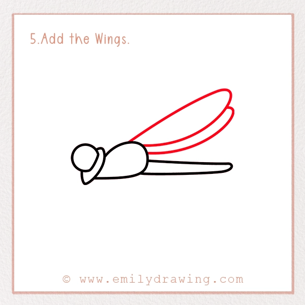 How to Draw a Dragonfly - Step 5 - Add the Wings